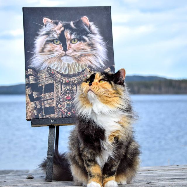 Grevinnan Personligt Kattporträtt Kungligt