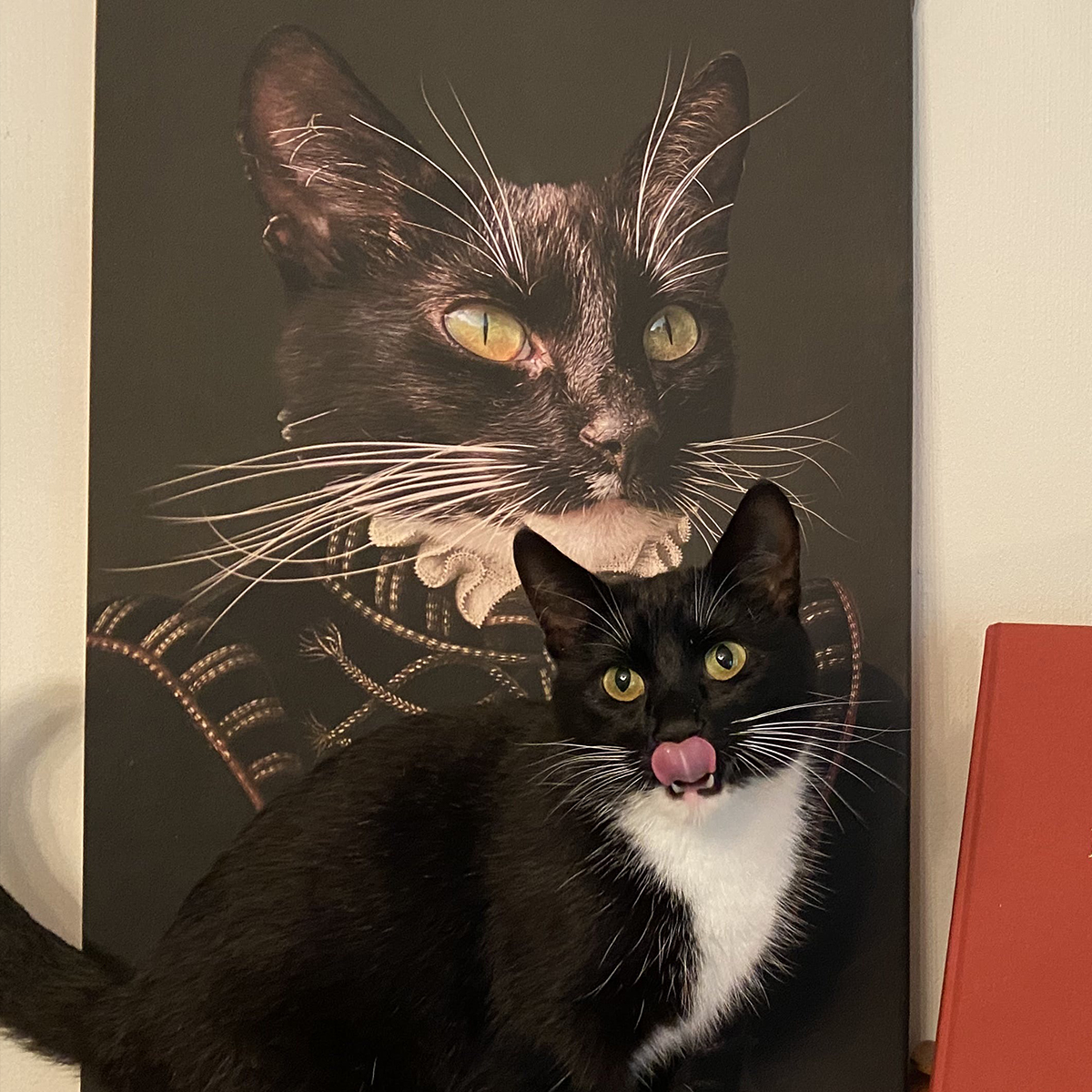 Prinsen Personligt Kattporträtt Renässans