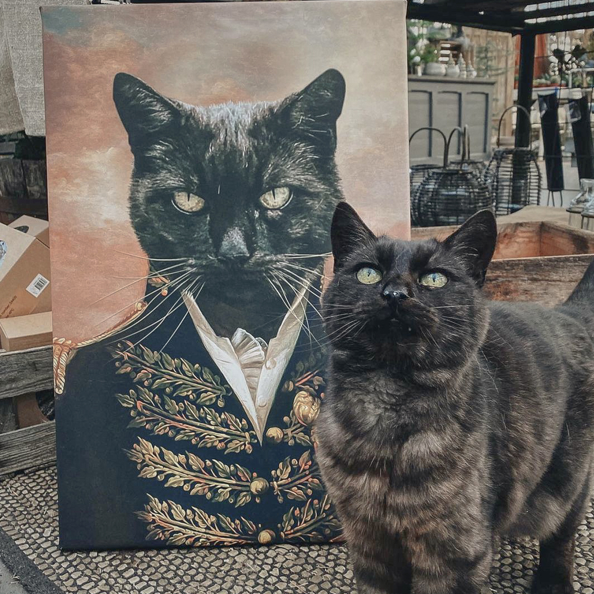 Generalen Personligt Kattporträtt Kungligt