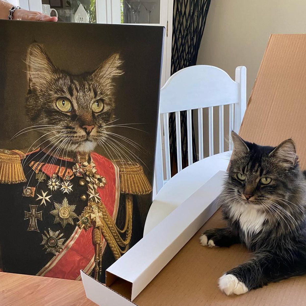 Krigsherren Personligt Kattporträtt Kungligt