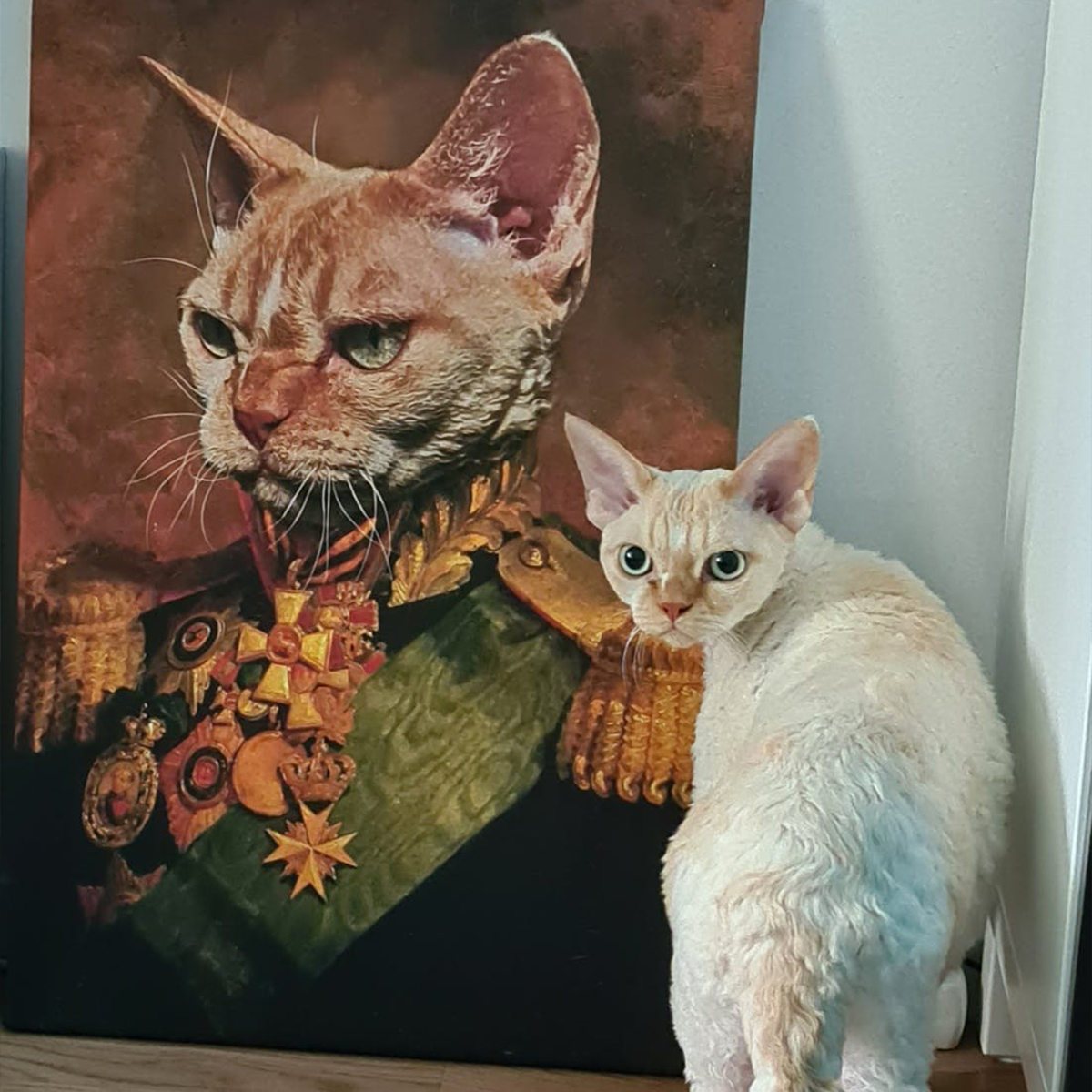 Ambassadören Personligt Kattporträtt Kungligt