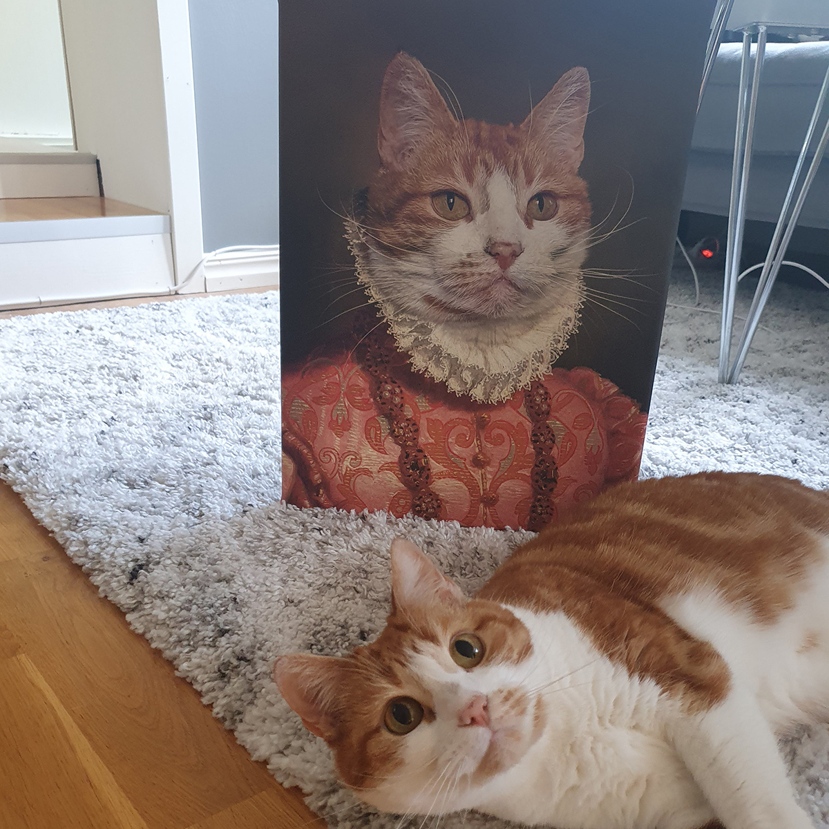 Drottningen Personligt Kattporträtt Renässans